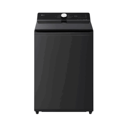 【含標準安裝】【LG 樂金】20kg 直立變頻洗衣機 夜墨灰 WT-TD20HG